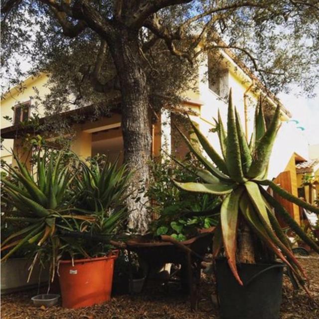 Rio Barca Bed And Breakfast Αλγκέρο Εξωτερικό φωτογραφία
